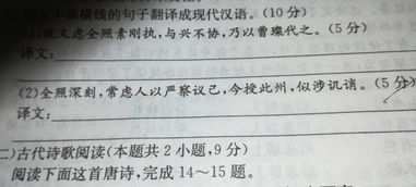 讥诮怎么读