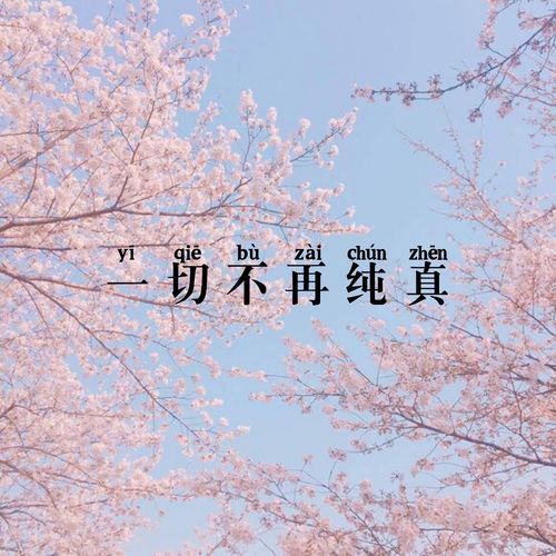 纯真歌词 纯真歌曲介绍