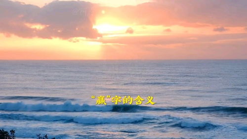 含义和含意的意思?