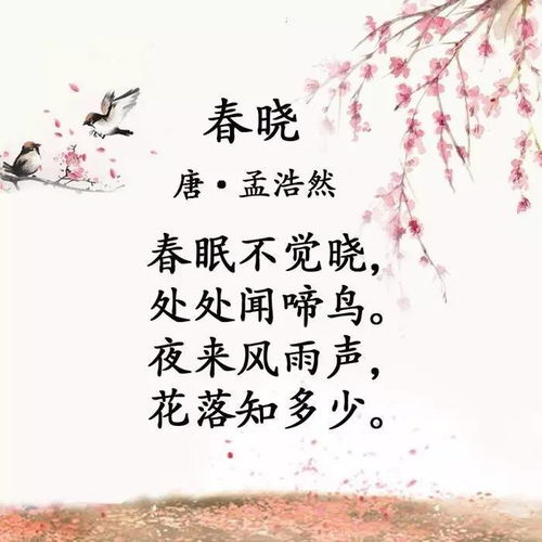 春晓的诗意，春晓的诗意是什么意思
