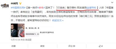 玮是什么意思?