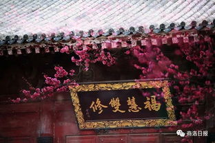 不经一番寒彻骨,哪得梅花扑鼻香。——问它的出处