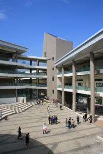 北京师范大学香港浸会联合国际学院专业，北京师范大学香港浸会联合国际学院排名