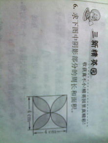 循规蹈矩是什么意思意，循规蹈矩是啥意思