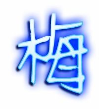 梅的笔顺