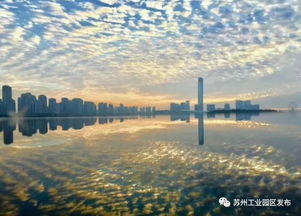 苏州大风公交站亭瞬间被吹塌,树都刮断了,为何今年的天气如此反常?_百度