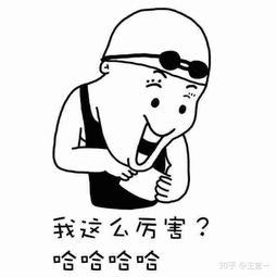 不甚在意是什么意思