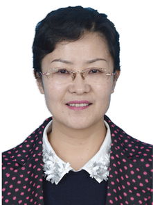 宋红沟村属于哪里