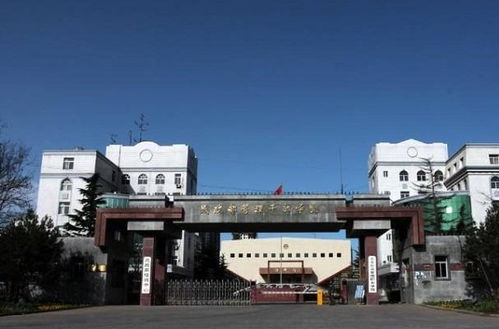 北京社会管理职业学院专业有哪些