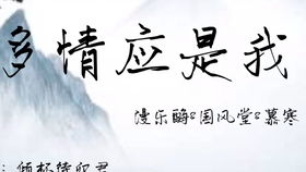 亲笔手书是什么意思，meme手书是什么意思