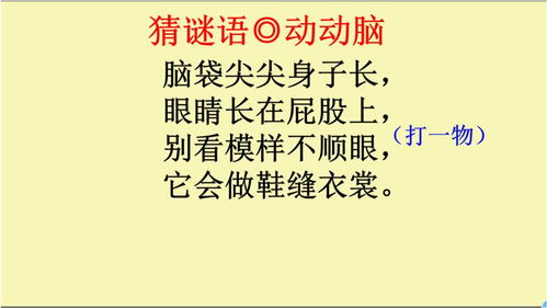 头尖身细白如银,论秤没有半毫分,眼睛长在屁股上,只认衣裳不认人。猜谜