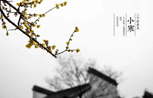 小寒节气的特点和风俗，小寒古诗