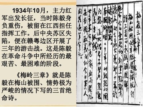 《梅岭三章》的主题思想是什么?