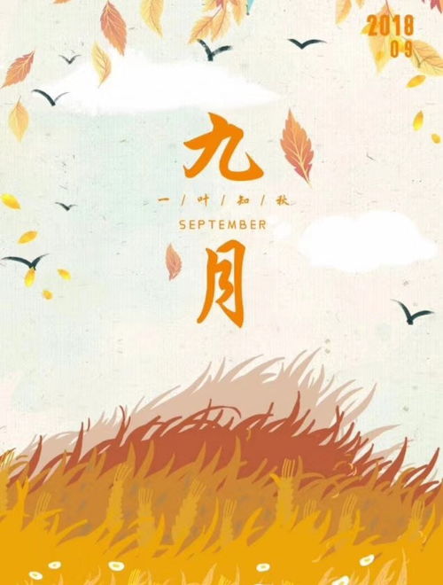 俯拾皆是什么意思?出处是哪里?