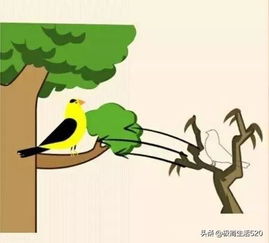 以“女”字开头的成语有哪些?