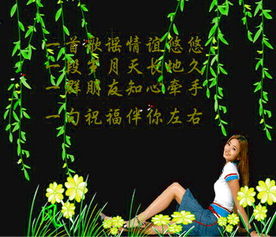 相见无几时是什么意思，相见无几时原唱视频
