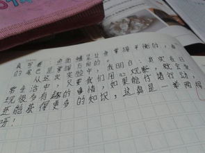 他改变了我作文400字，他改变了我作文800字初中