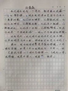 爱国作文600字