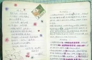 纯真歌词意思，纯真歌词表达什么