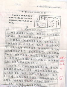 爸爸改变了我作文