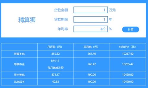 还款本金是什么意思，项目资本金是什么意思