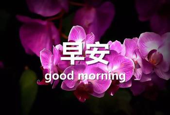 杜鹃圆舞曲钢琴谱，杜鹃圆舞曲五线谱