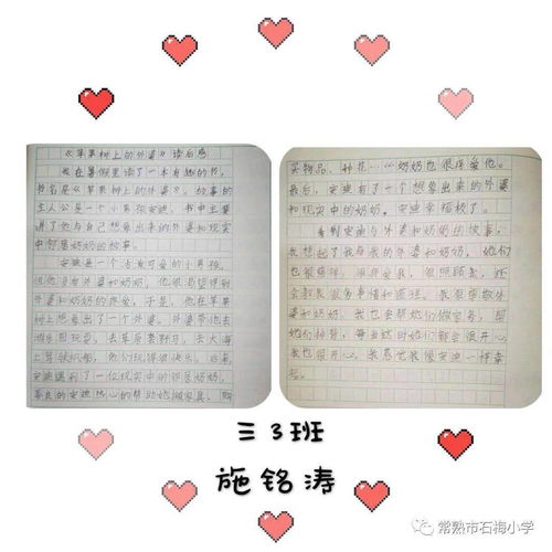 四年级读书笔记100字大全摘抄大全，四年级读书笔记100字好词好句好段
