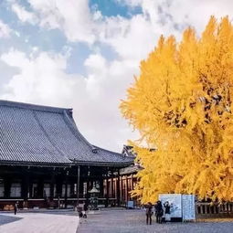东京到高野山多少公里
