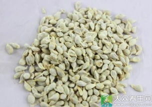 橘核的用量是多少克，橘核丸方歌