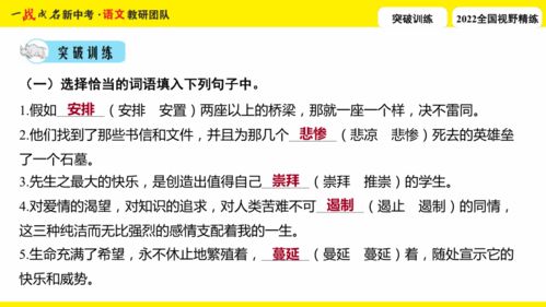 夯实是什么意思?