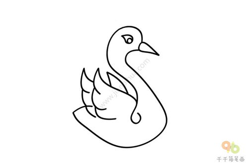 天鹅怎么画简笔画