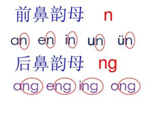鼻的拼音组词，总的拼音
