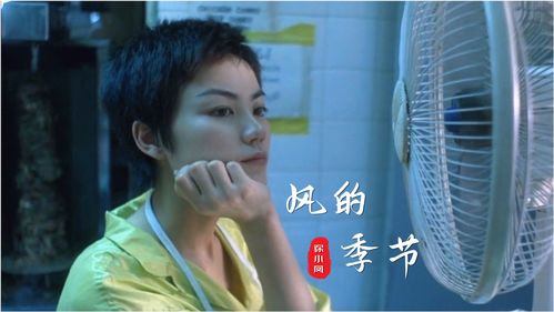 风的季节原唱 soler，风的季节原唱徐小凤下载