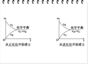 可逆反应定义，可逆反应符号