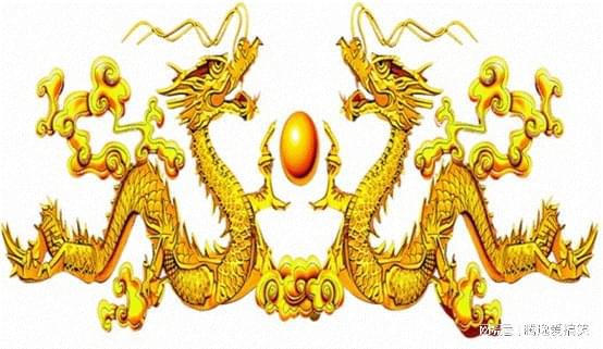 小说中的五爪金龙指的是它手有五个手指还是五只脚啊?