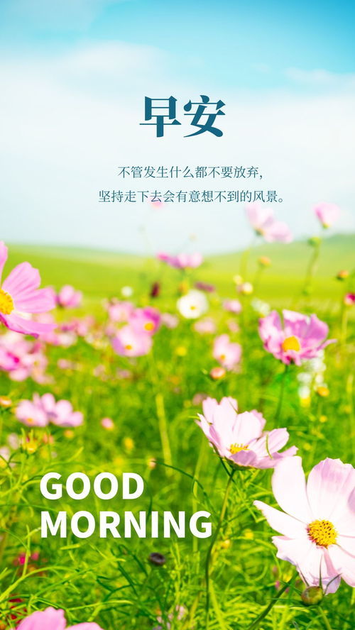 “祝福”的近义词是什么?