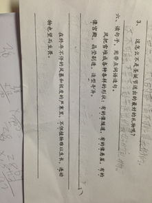 造怎么造句(精选20句)