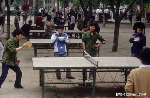 严介和最狂的一句话