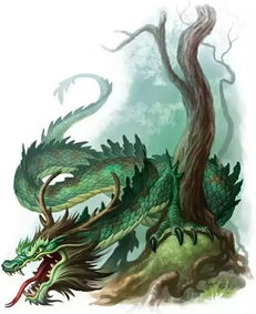 “飞龙在天”是什么意思?