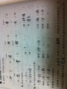 模组词组，樽组词是什么
