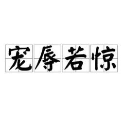 宠辱若惊,贵大患若身，宠辱若惊的若是什么意思