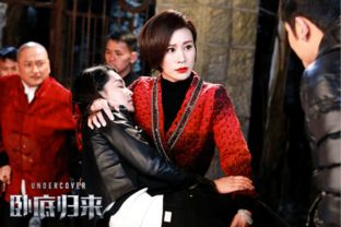 歌词,一只信鸽独自穿越沙漠,是什么歌