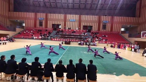 惠来百龙文武学校一学期多少钱