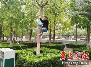 敲扑是古代的刑具长的叫敲短的叫扑，敲掉的拼音