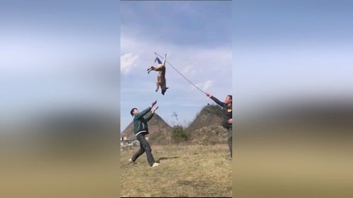 上天下地什么意思，上天下地是什么卦