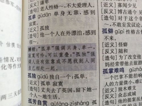 顾忌的近义词，孤寂的近义词是什么 标准答案