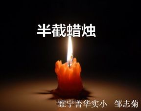 五上部编版语文教学工作计划