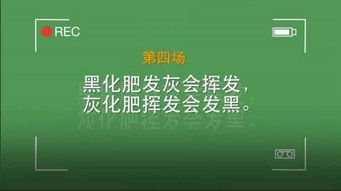 黑化肥绕口令带拼音，灰化肥黑化肥绕口令