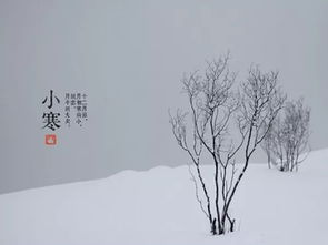 关于小寒的介绍