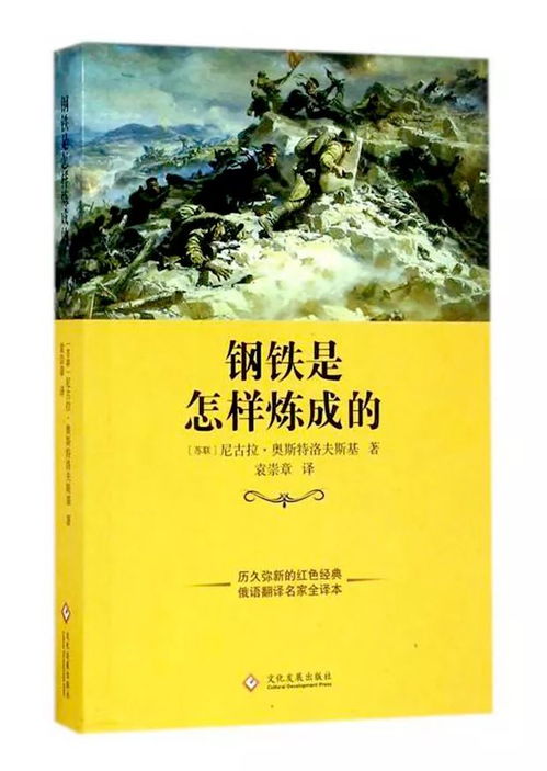 阅读钢铁是怎样炼成的读后感600字，钢铁是怎样炼成的读后感600字左右免费
